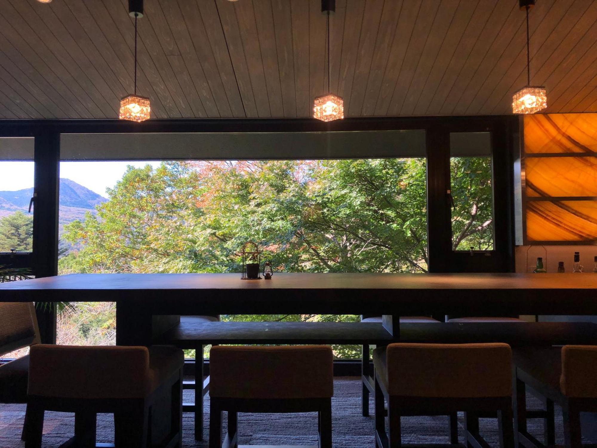 Hakone Elecasa Hotel And Spa Buitenkant foto